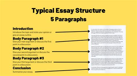 Does an Essay Have Paragraphs: A Deep Dive into the Structure of an Expository Text