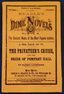 what is a dime novel